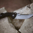 Складной нож Cold Steel Talwar 4" 21TTL - Складной нож Cold Steel Talwar 4" 21TTL