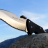 Складной нож Cold Steel Black Talon II Serrated Edge 22BS - Складной нож Cold Steel Black Talon II Serrated Edge 22BS
