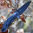 Складной нож Kershaw Natrix XL Blue/Gray 7008CFBLK - Складной нож Kershaw Natrix XL Blue/Gray 7008CFBLK