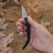 Нож CRKT Minimalist 2385 - Нож CRKT Minimalist 2385
